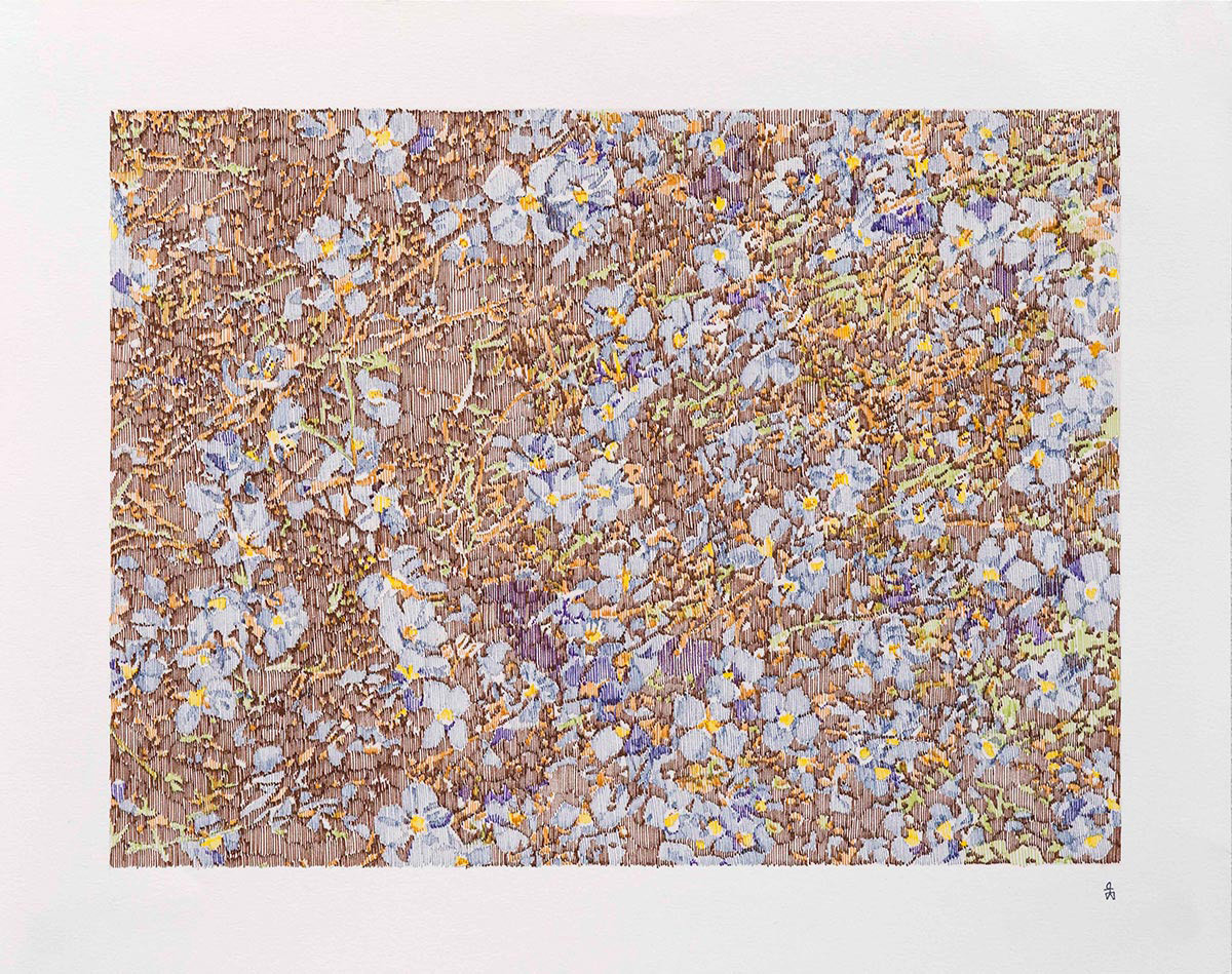 marsivandeheuvel-grace