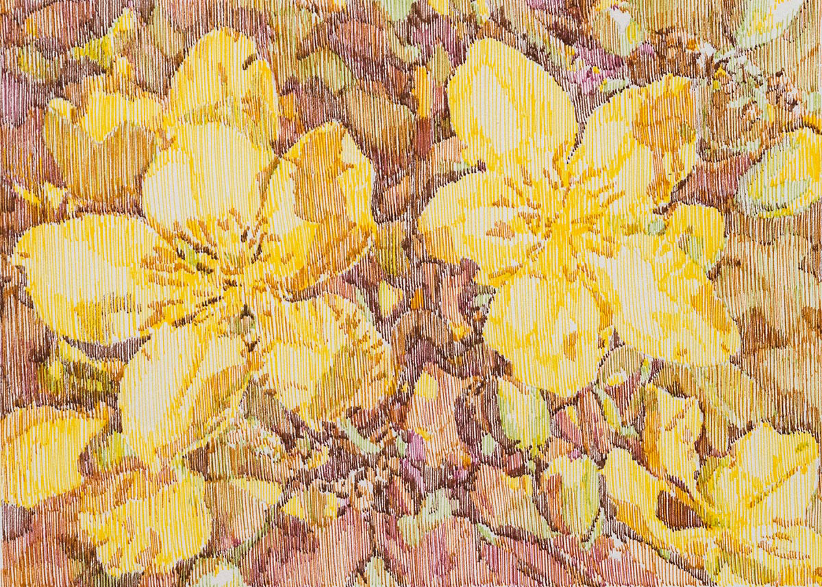 marsivandeheuvel-hope