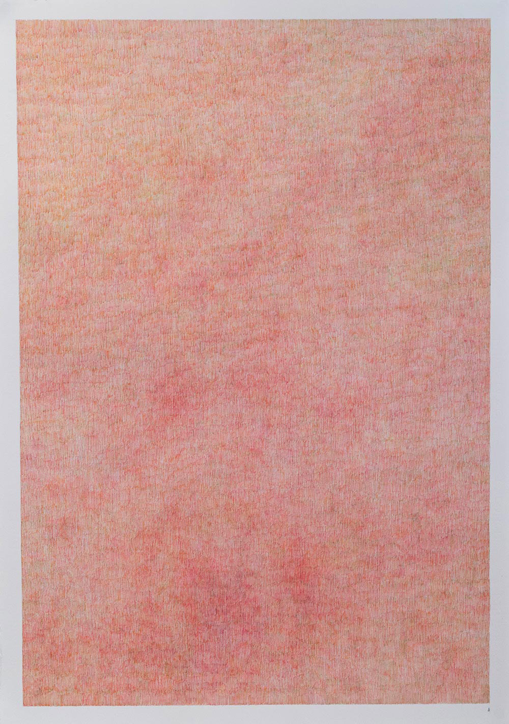 marsivandeheuvel-rose