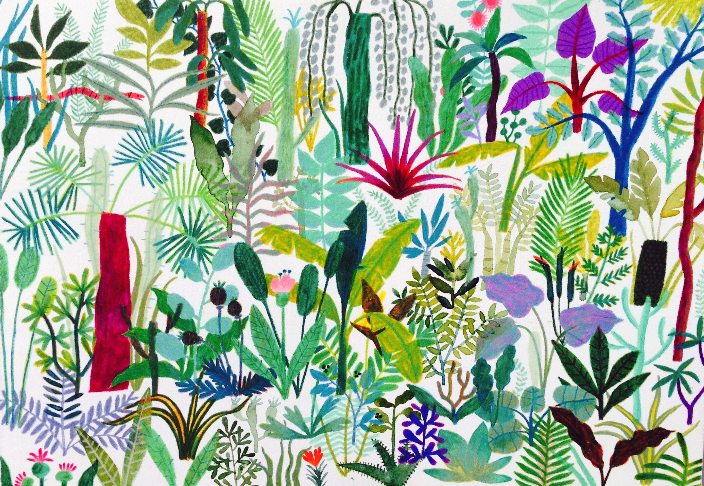 Illustrator Spotlight Min Heo BOOOOOOOM! CREATE * INSPIRE