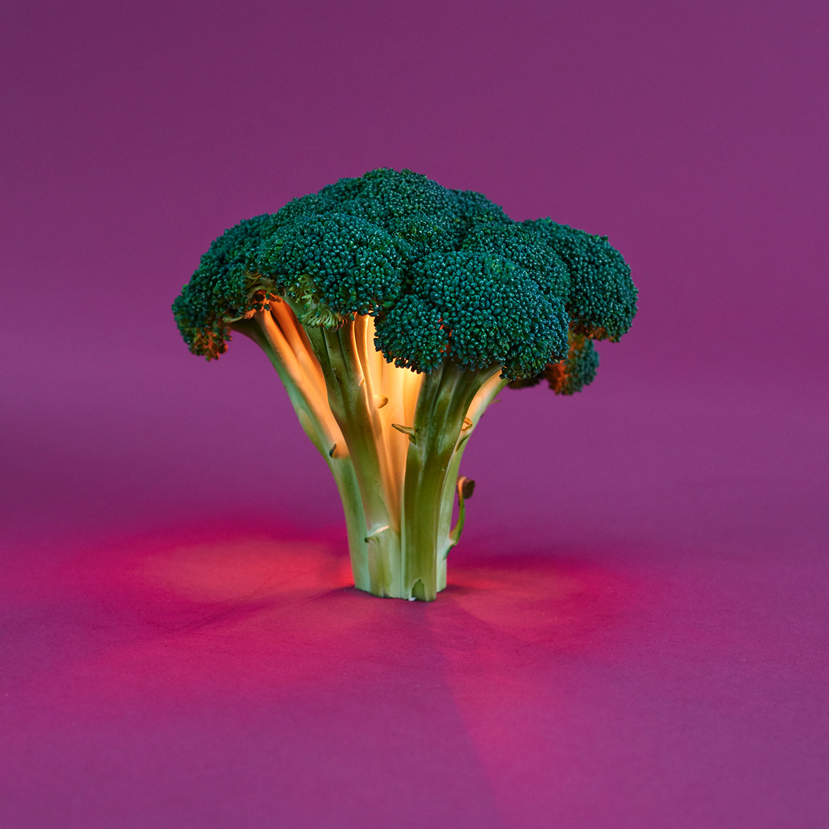 Colourful Odd Juxtapositions By Photographer Maciek Jasik colourful-odd-juxtapositions-by-photographer-maciek-jasik