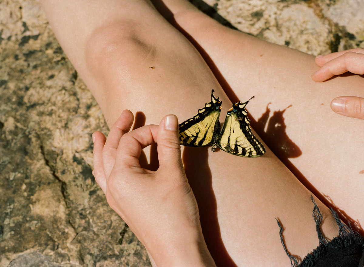 Jonathan Schechner