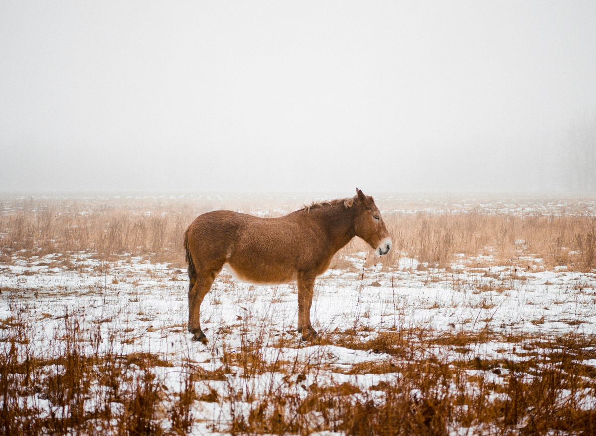 Jonathan Schechner