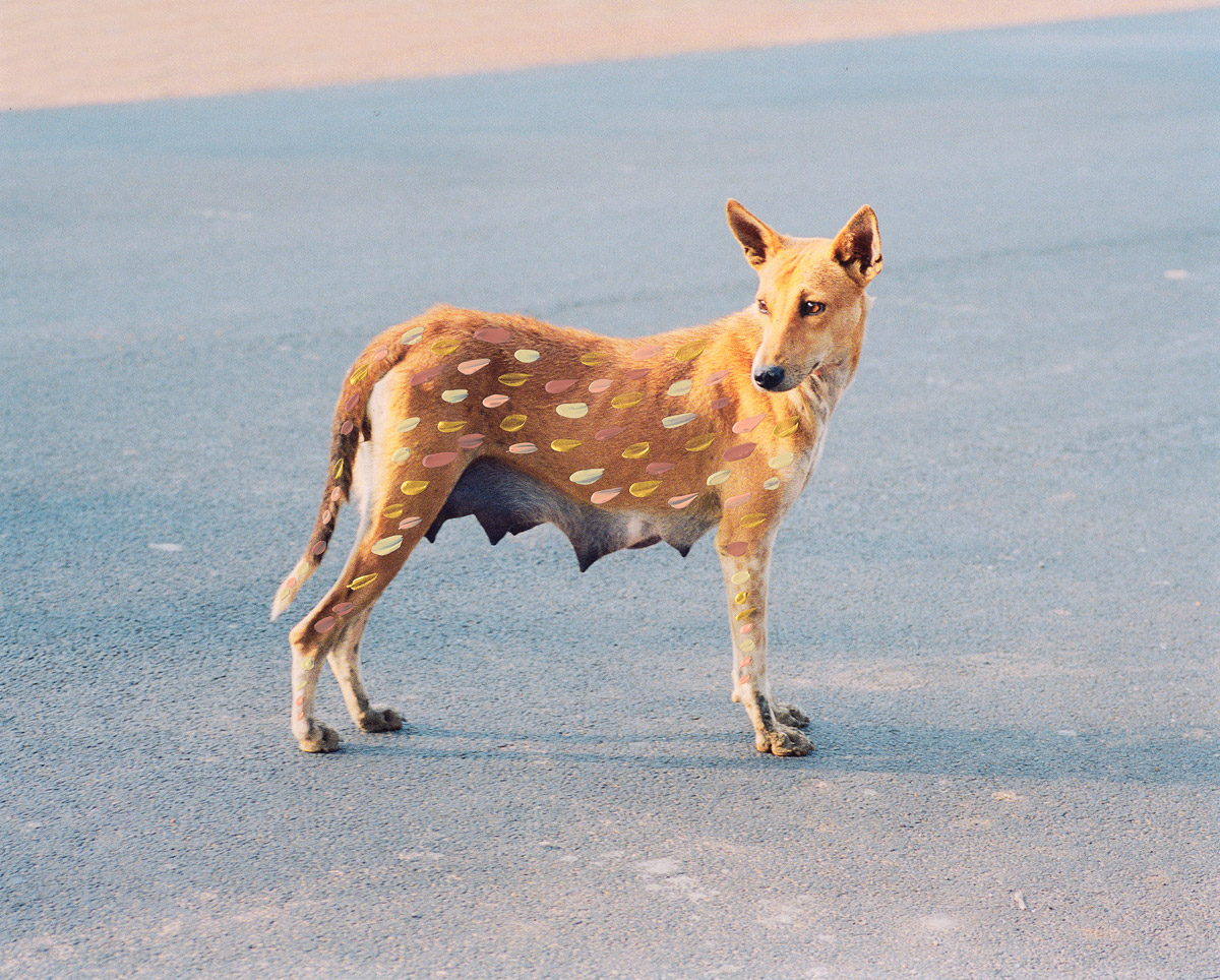 Vasantha Yogananthan