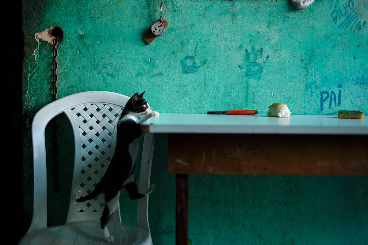 Geralyn Shukwit